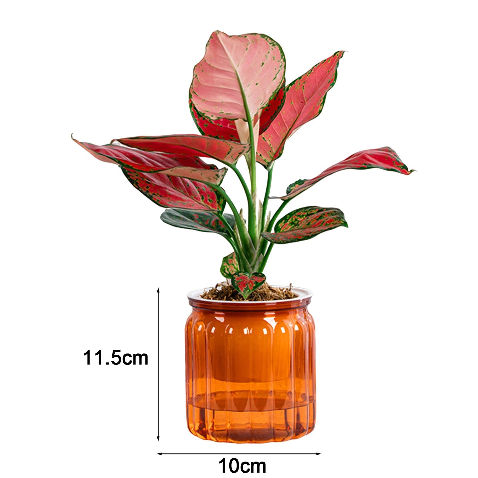 Vaso de flores com rega automática, vaso de plantas de plástico transparente par