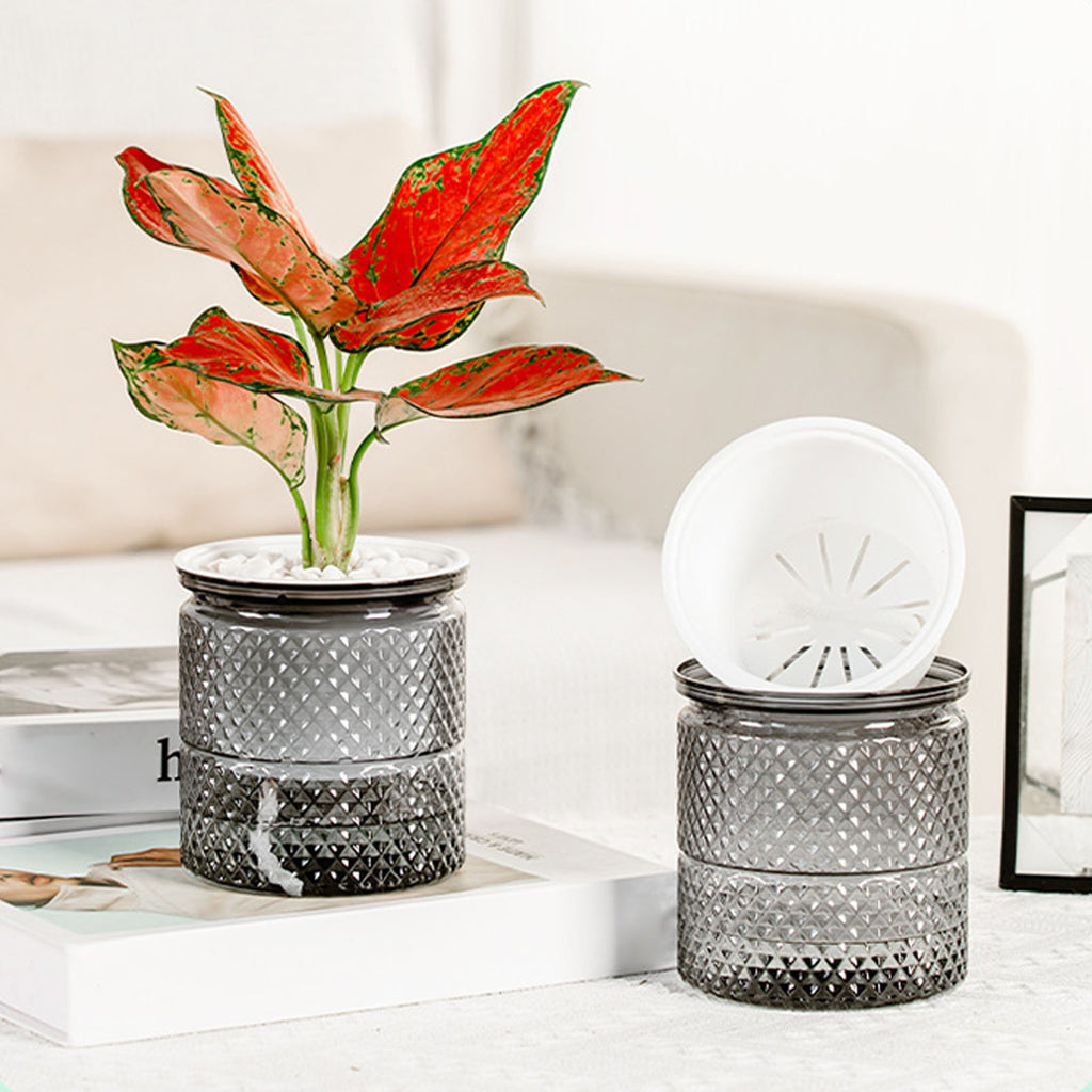 Vaso de flores com rega automática, vaso de plantas de plástico transparente par