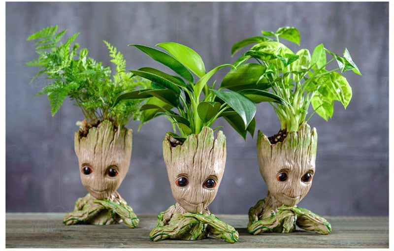 Vasos para plantas pote groot